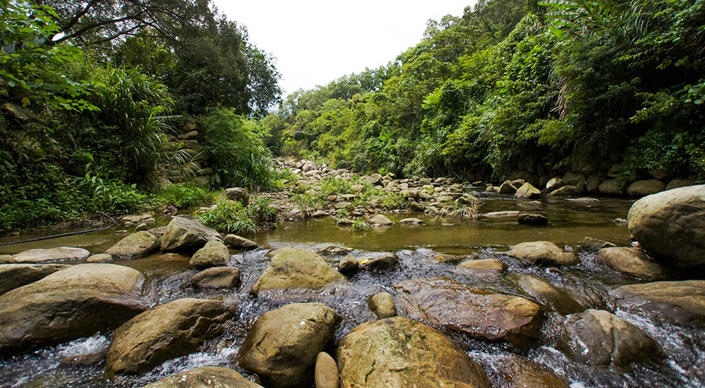 清涼溪水