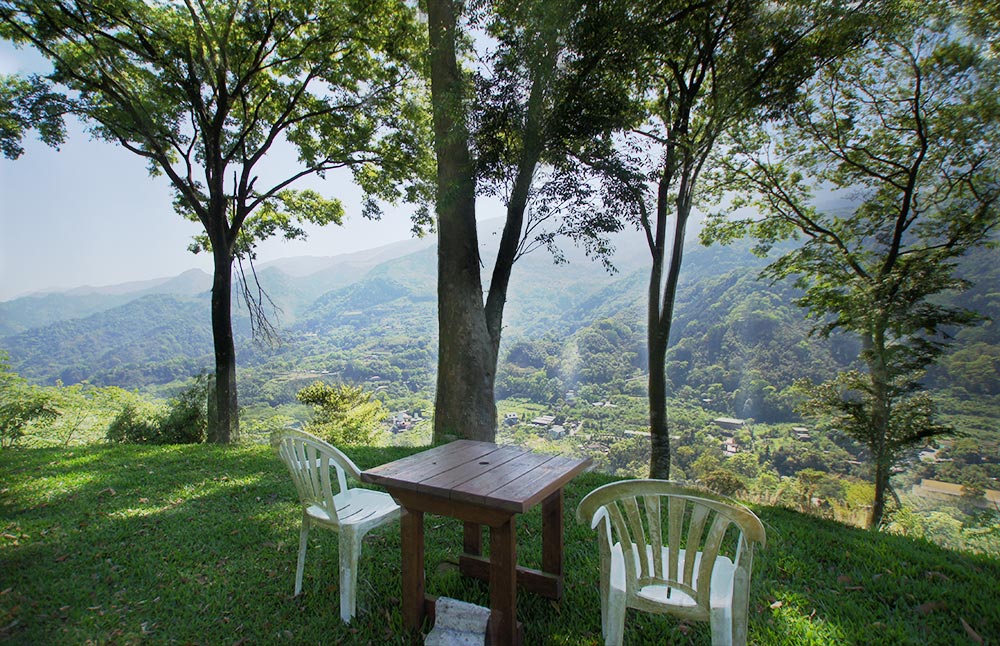 私房景點-百年櫸木旁俯瞰蓬萊山景